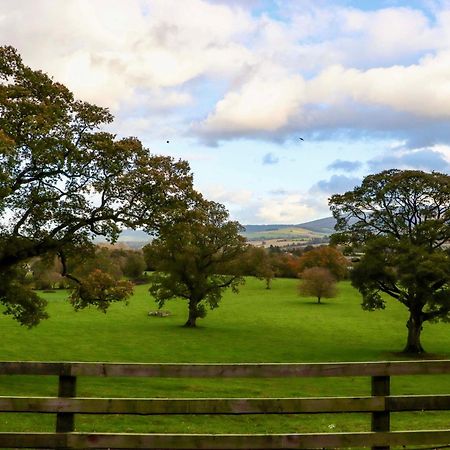 Ballybeg Pod 9 Аклоу Экстерьер фото